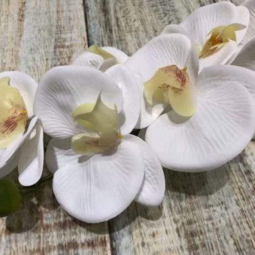 Artificial Phalaenopsis Blume, 86CM Artificial Phalaenopsis Blume, 86CM