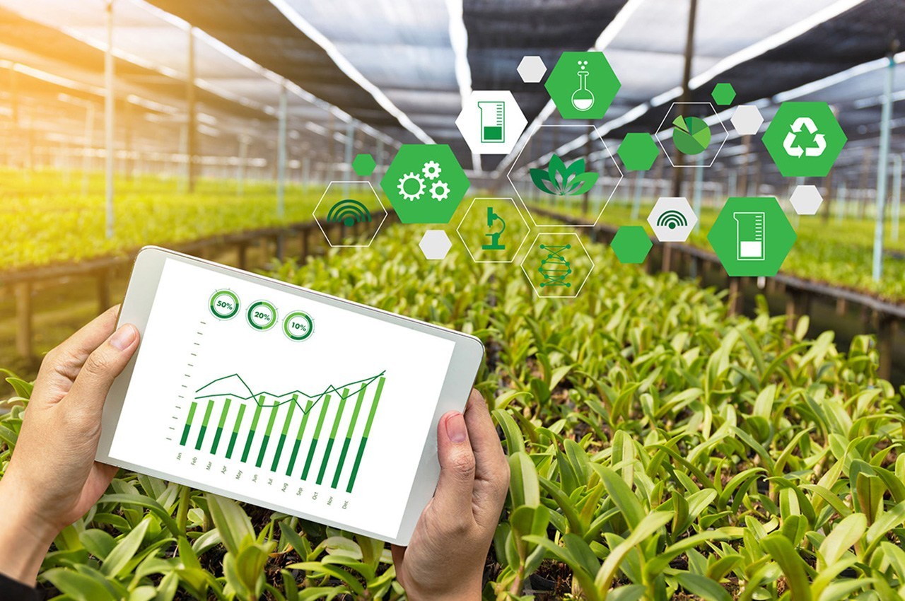Application Analysis of Agricultural Internet of Things in Tomato Greenhouse