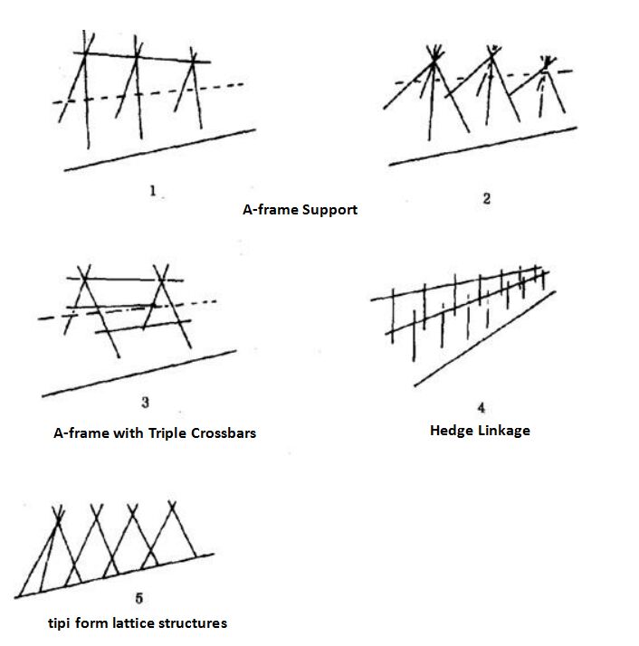 Types of Supporting Structures Types of Supporting Structures
