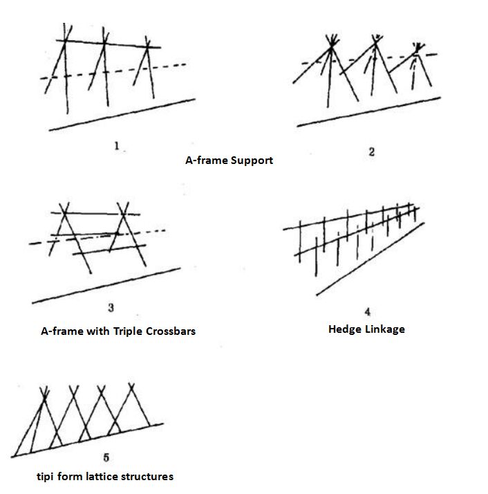 Types of Supporting Structures