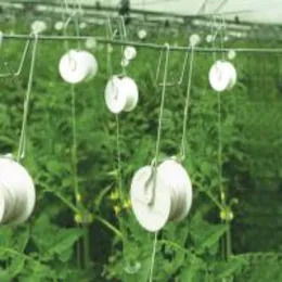 Best Ways to Support Tomatoes