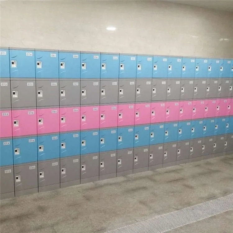 TOPPLA Shower Room Lockers