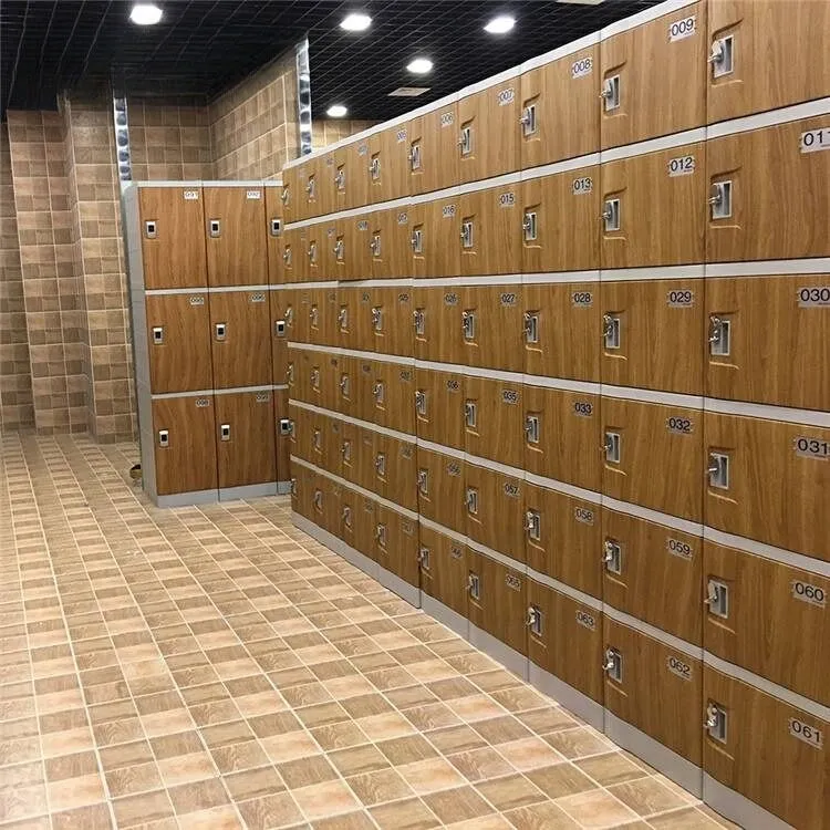 TOPPLA Shower Room Lockers