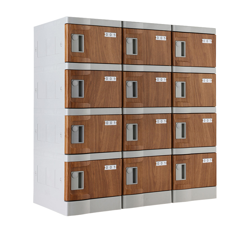 Wood Grain T-280E Plastic Mini Lockers