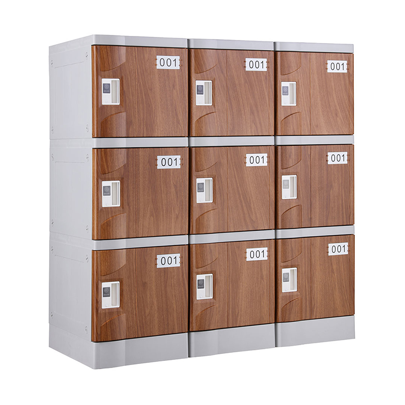 Wood Grain T-320E-42 Six Tiers Plastic Lockers