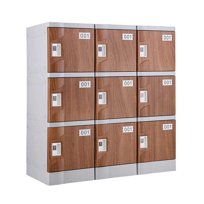 Wood Grain T-320E-50 Plastic Locker for Stadium