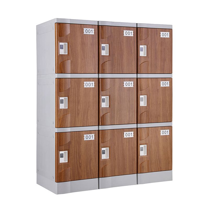 Wood Grain T-320F-42 Plastic Lockers for Schools