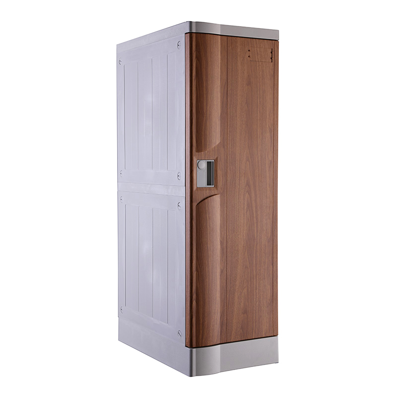 ABS Plastic Locker T-320L-50: Double Tiers, Flexible Combination