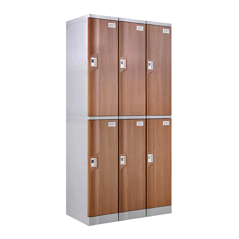 Wood Grain ABS Plastic Locker T-320L-50