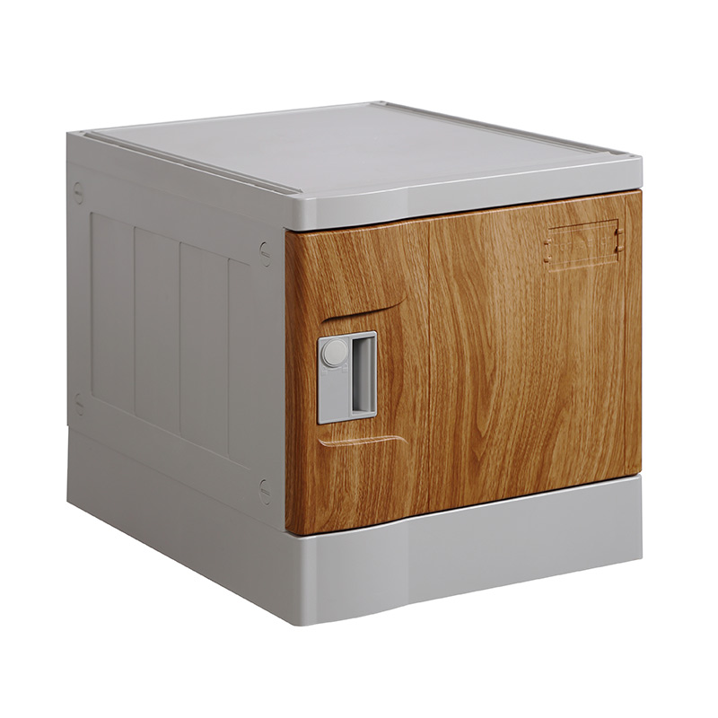 ABS Plastic Locker T-382E: Six Tiers, Flexible Configurations