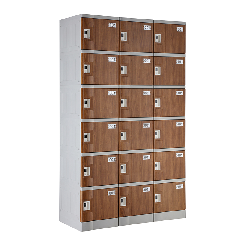 Wood Grain Six Tiers T-382E Plastic Locker