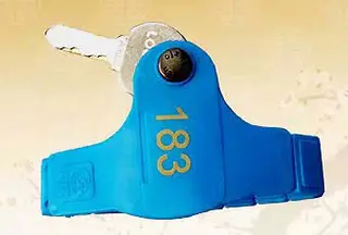 lock-accessories/locker-key-wristband-t-21-01-applications