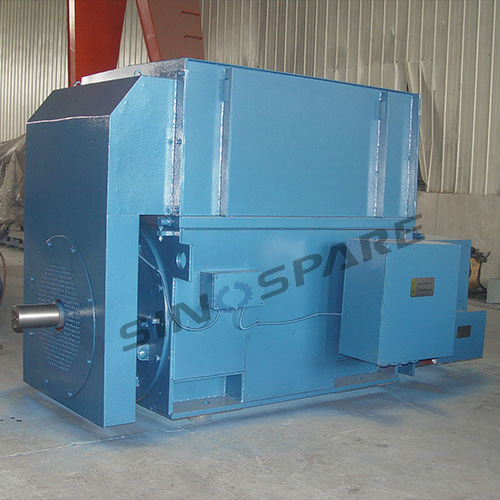 Custom High Voltage Motor for Cement Plant