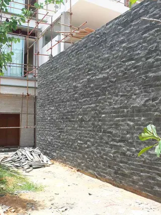 Nature Wall Surface