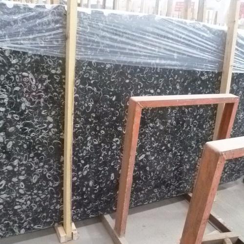 Decorative Black Seashell Flower Marble