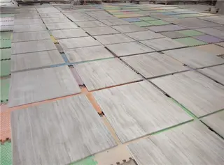 White Wood Marble
