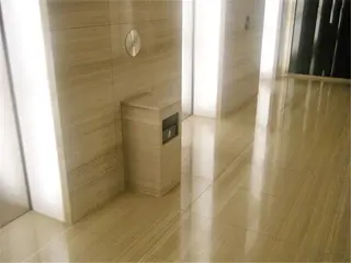 China White Wooden Marble Slab, White Wooden Veins Marble Tile