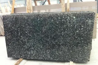 Black and White Seashell Marble Slabs