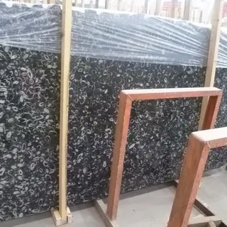Decorative Black Seashell Flower Marble