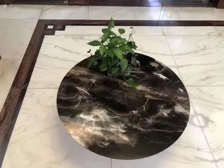 Gorgeous Veins Black Marble Slabs, Black & White Marble Tiles