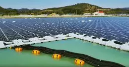 Weal and Woe in China Floating Solar Market
