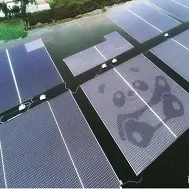 Do Scrapped PV Modules Have the Risk of Pollution?