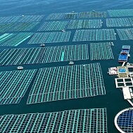 Flexible FPV Systems - A Novel Solar Energy Utilization Tech