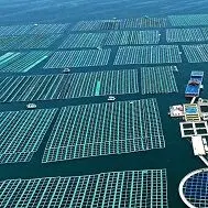Flexible FPV Systems - A Novel Solar Energy Utilization Tech