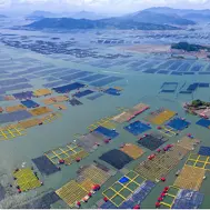 Floating PV Systems Help Indonesia's Energy Transition