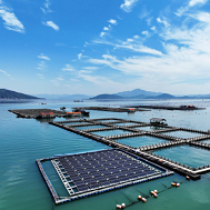 The Development of Floating Photovoltaic Systems