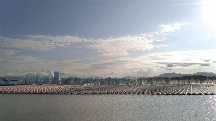 Full-Time Water-Mounted Solar Power System, Custom Project Design