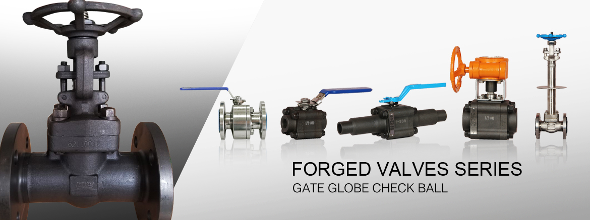 Forged Valves Series