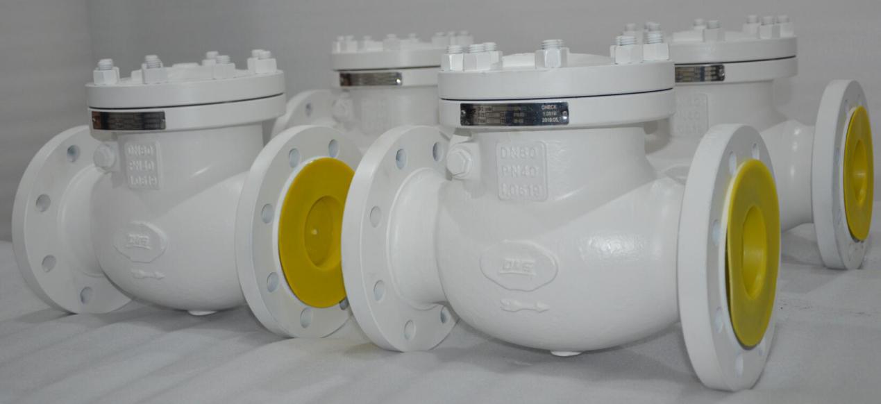 dervos-dn80-pn40-valve.jpg