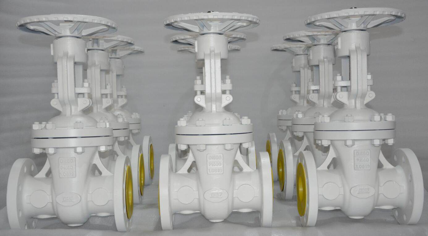 latest-din-valves-from-dervos.jpg