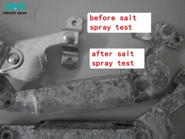 Valve salt spray test