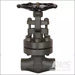The features of forged steel gate valve