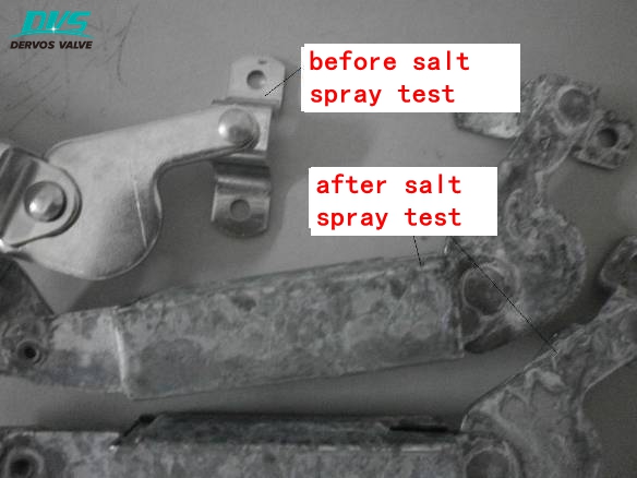 Valve salt spray test