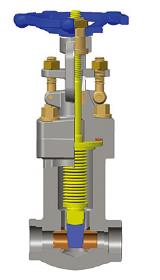 Forged Bellows Sealed Gate Valve, ASTM A105N, Class 800, 1 Inch