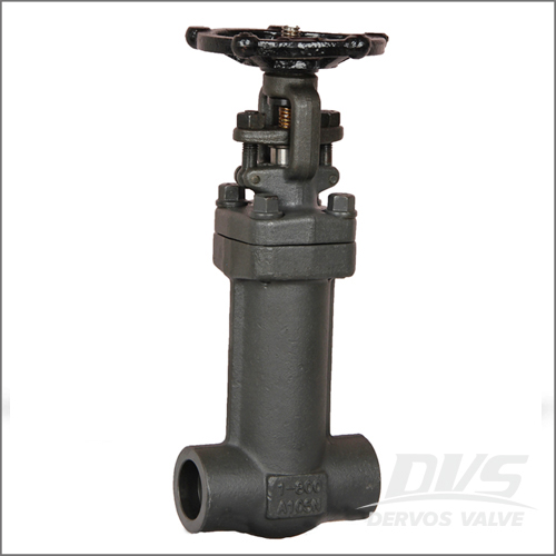 Forged Bellows Sealed Gate Valve, ASTM A105N, Class 800, 1 Inch
