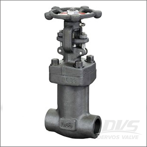 Forged Bellows Sealed Globe Valve, OS&Y, Bolted Bonnet, API 602