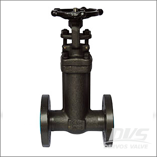 Integral Flanged Bellows Sealed Gate Valve, A105N, Class 150, 1 In