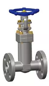 Integral Flanged Bellows Sealed Gate Valve, A105N, Class 150, 1 In