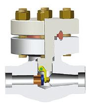 Bolted Bonnet A105N Check Valve, CL2500, 1 Inch, Socket/Butt-Welded