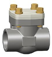 Forged Steel Swing Check Valve, A105N, 1 Inch, Class 800, BS 5352