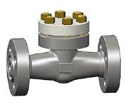 Integral Flanged Piston Check Valve, ASTM A105N, 1 Inch, Class 1500
