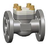 Integral Flanged Swing Check Valve, ASTM A105N, 3/4 Inch, Class 150