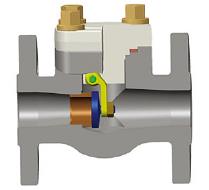 Integral Flanged Swing Check Valve, ASTM A105N, 3/4 Inch, Class 150