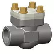 Bolted Cover Piston Check Valve, ASTM A105N, Class 800, 1 Inch