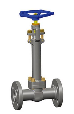 Forged Stainless Steel Cryogenic Globe Valve, 1/2-4 Inch, OS&Y