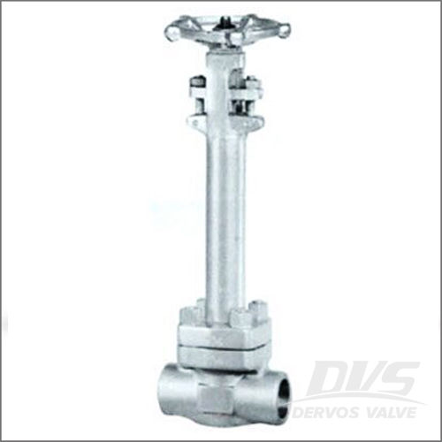 Forged Stainless Steel Cryogenic Globe Valve, 1/2-4 Inch, OS&Y